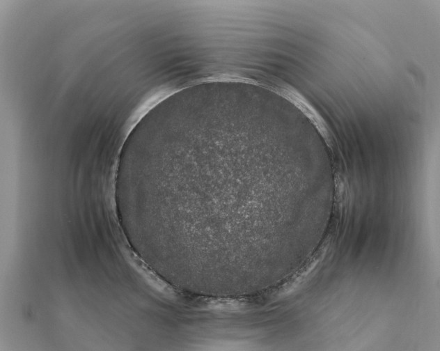 X0000112111002200908181343