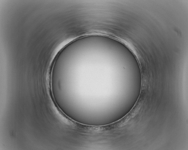 X0000112111003200908181343