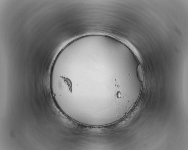 X0000112111004200908181343