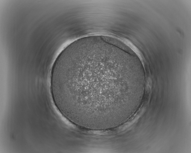 X0000112111005200908181343