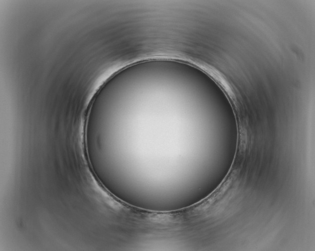 X0000112111006200908181343