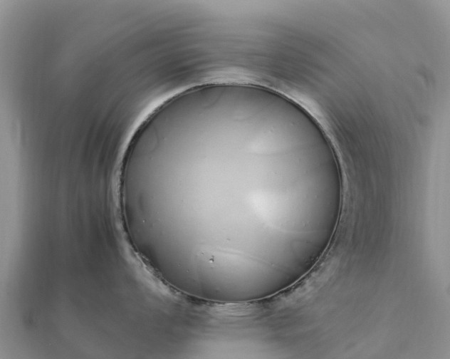 X0000112111008200908181343