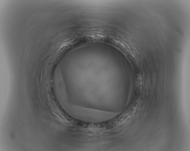 X0000112111009200908181343