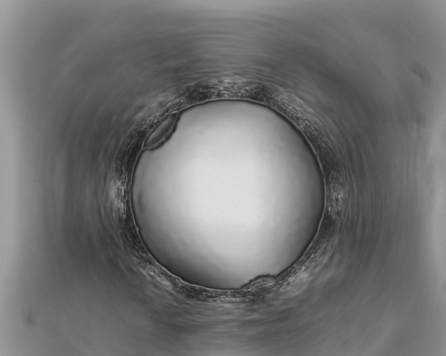 X0000112111010200908181343