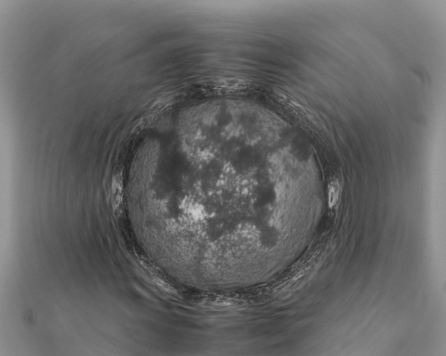 X0000112111011200908181343