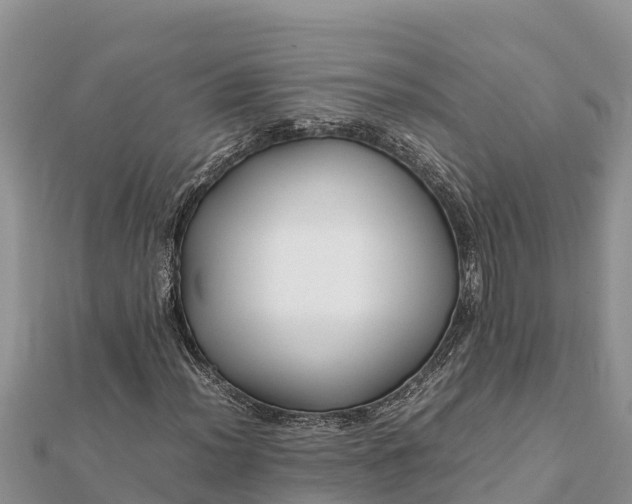 X0000112111012200908181343