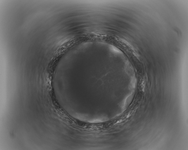 X0000112111013200908181343