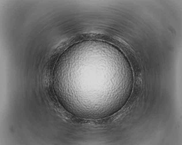 X0000112111014200908181343