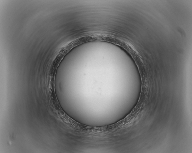 X0000112111016200908181343