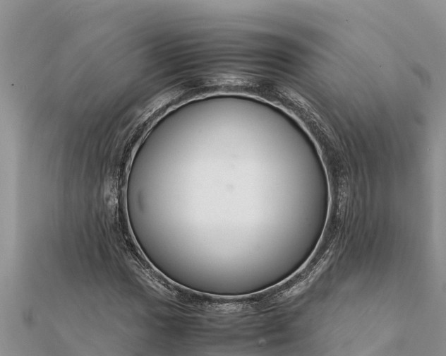 X0000112111017200908181343