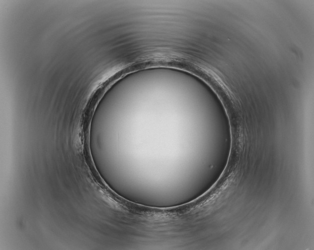 X0000112111018200908181343