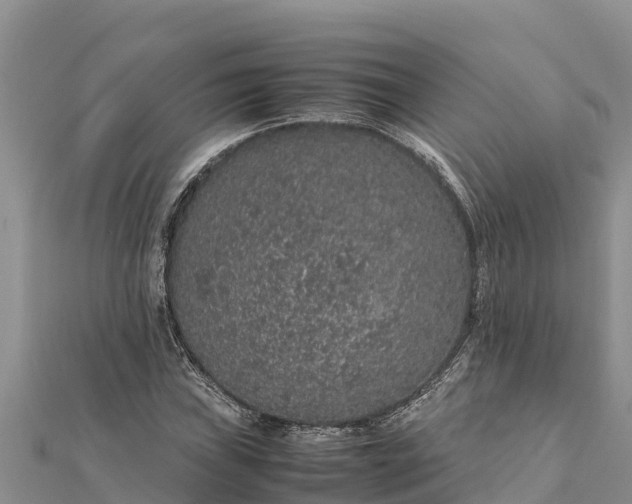 X0000112111019200908181343