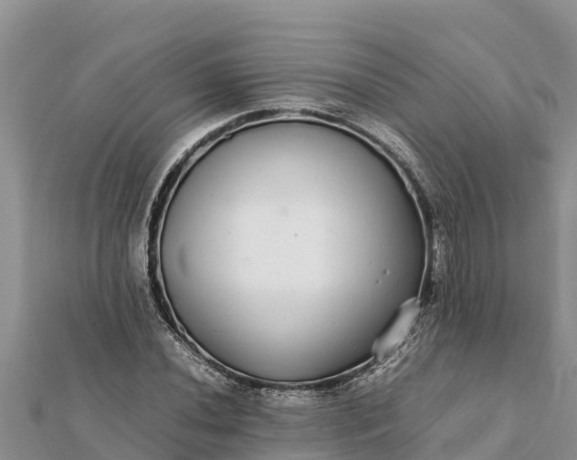 X0000112111020200908181343