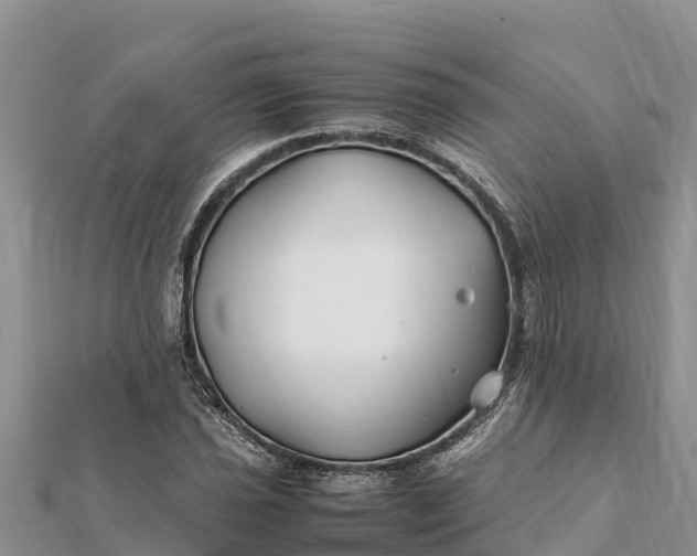 X0000112111021200908181343