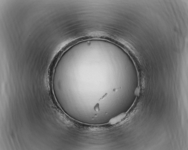 X0000112111022200908181343