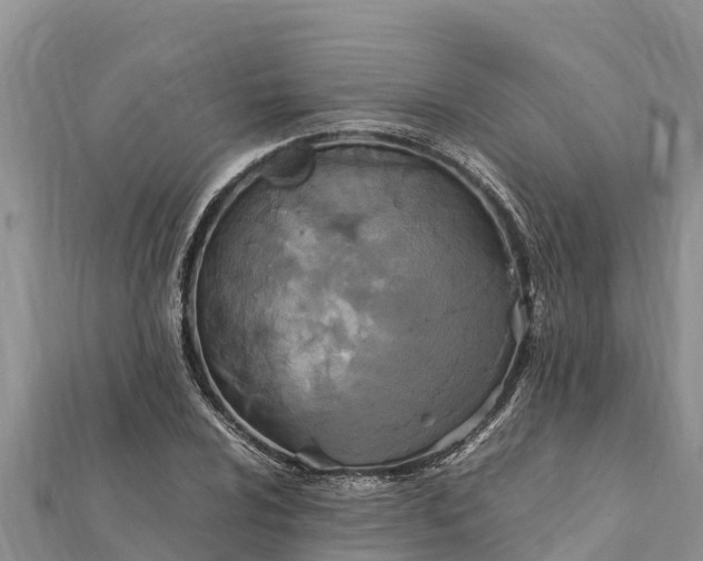 X0000112111024200908181343