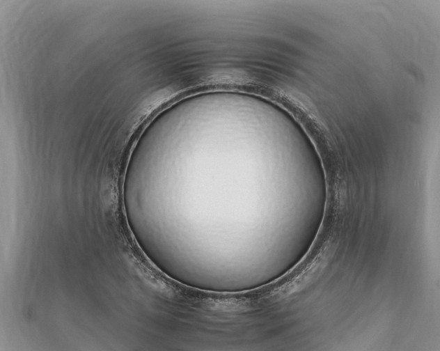 X0000112111025200908181343