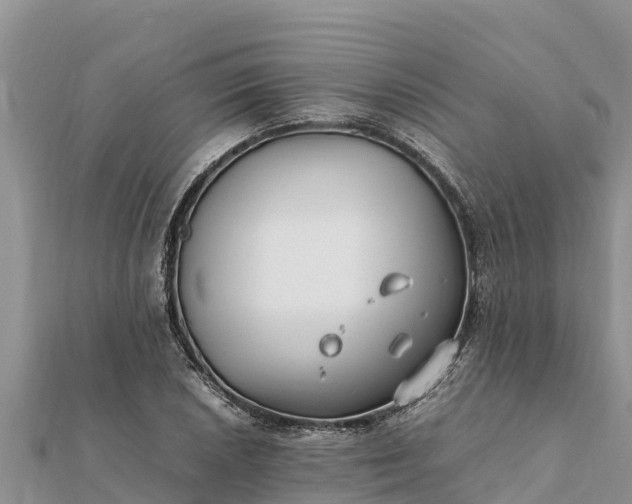 X0000112111026200908181343