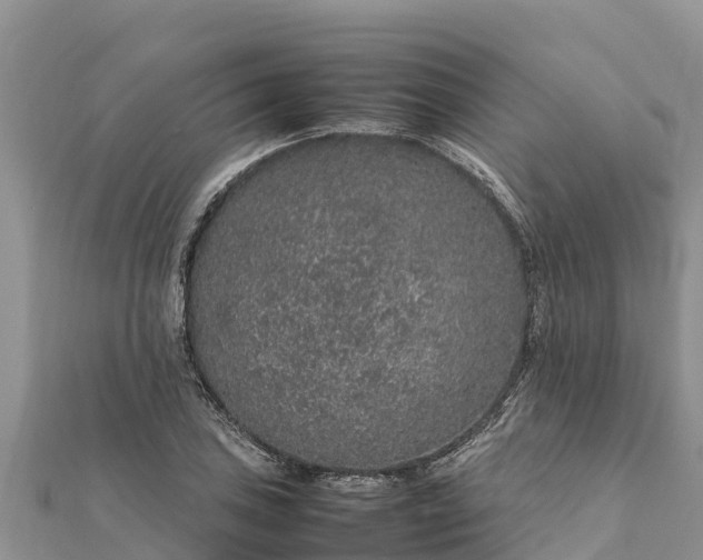 X0000112111027200908181343