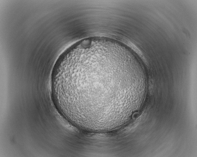 X0000112111028200908181343