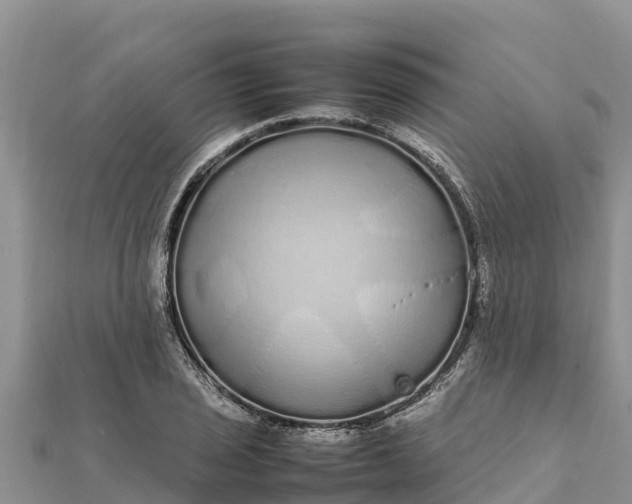 X0000112111029200908181343