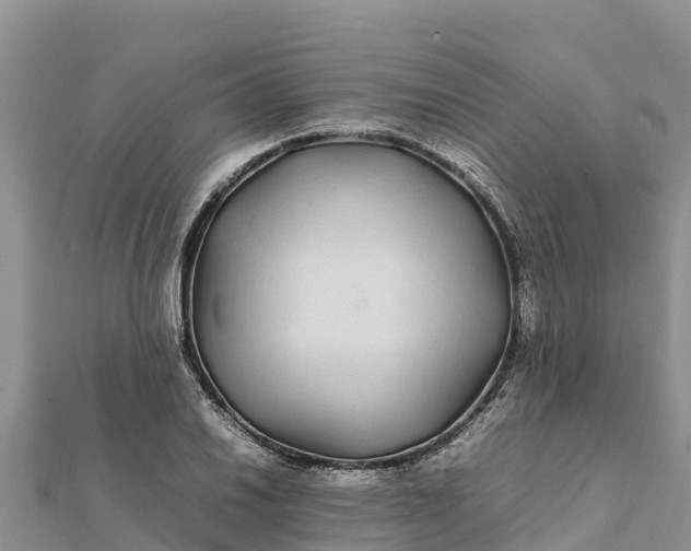 X0000112111030200908181343