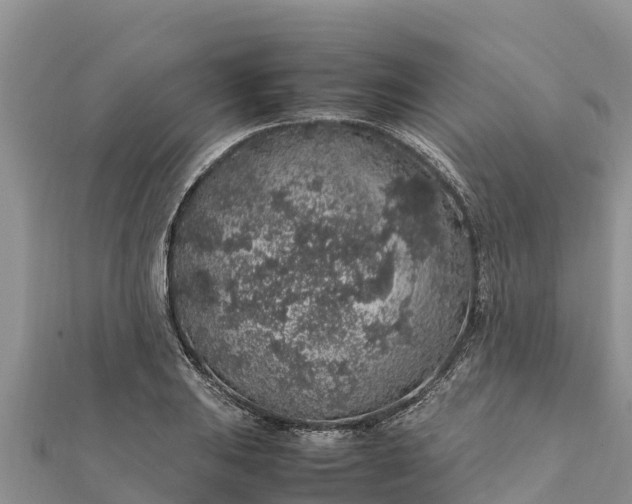 X0000112111031200908181343