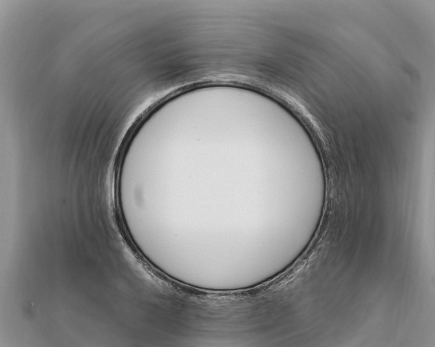 X0000112111032200908181343