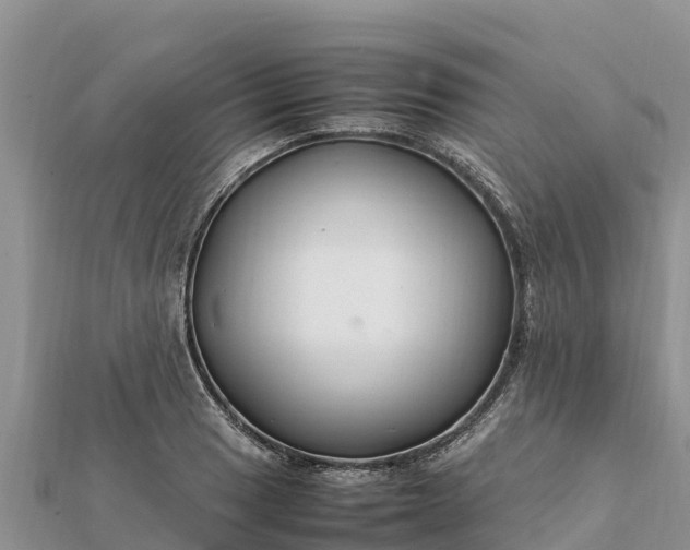 X0000112111033200908181343