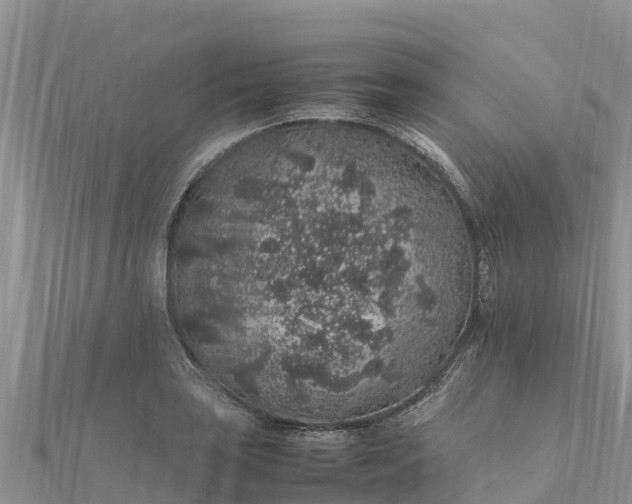 X0000112111035200908181343