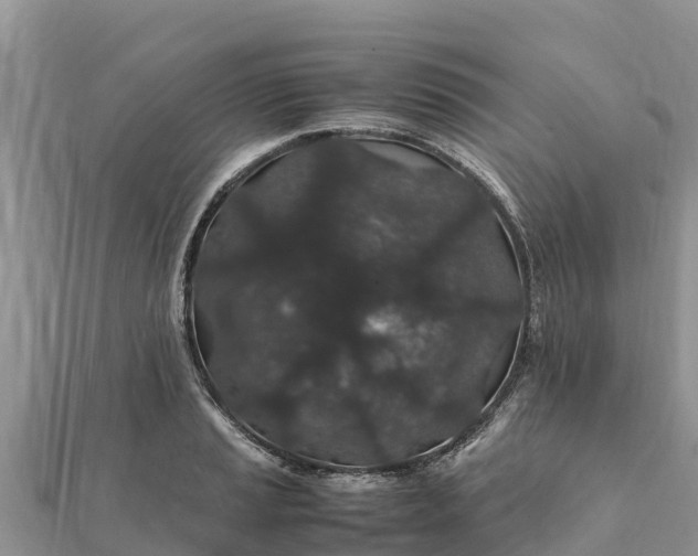 X0000112111037200908181343