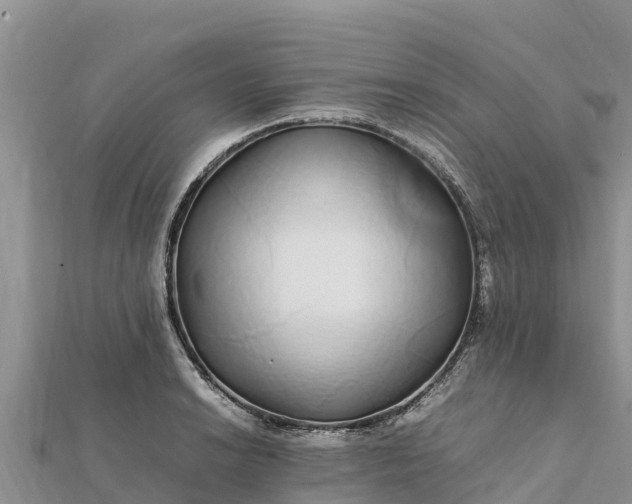 X0000112111038200908181343