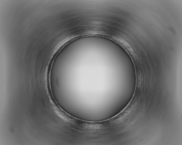 X0000112111039200908181343