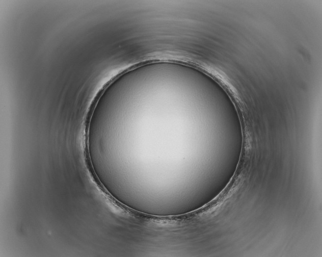 X0000112111040200908181343