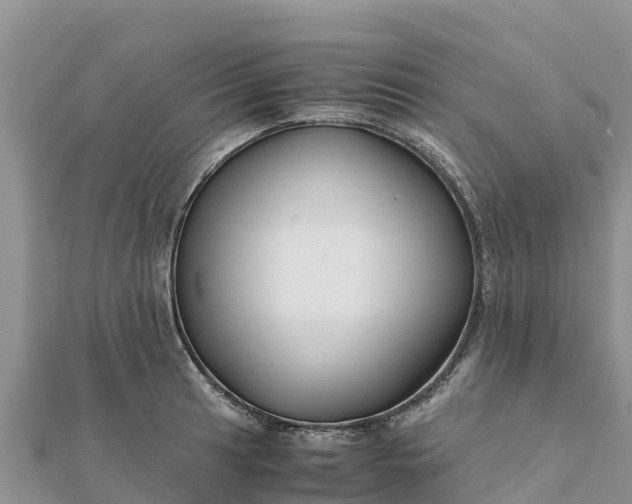 X0000112111041200908181343