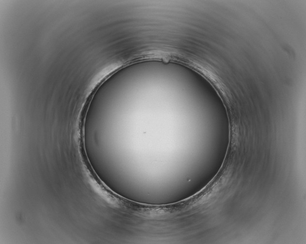 X0000112111042200908181343