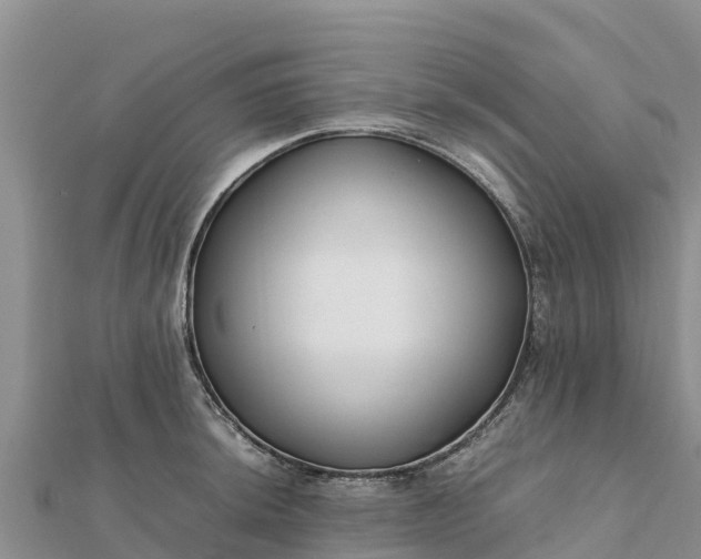 X0000112111044200908181343