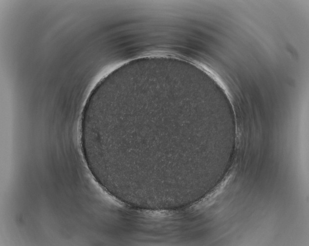 X0000112111045200908181343