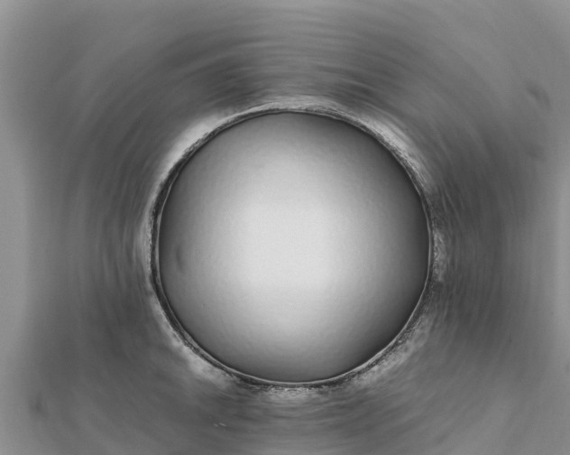 X0000112111046200908181343