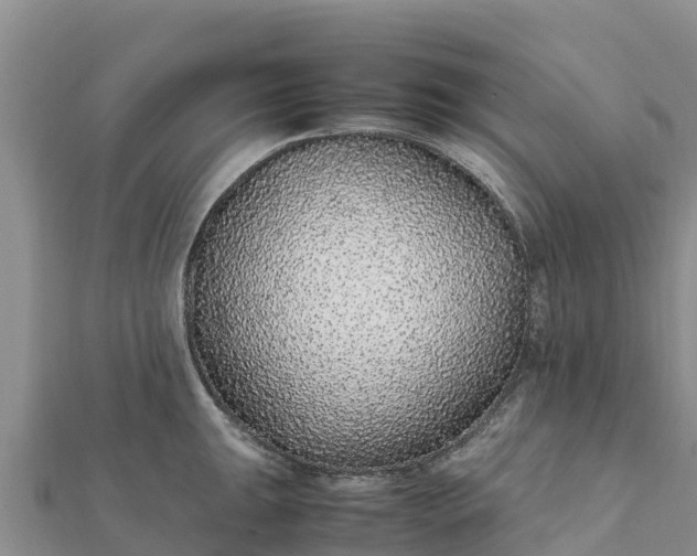 X0000112111047200908181343