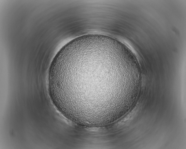 X0000112111048200908181343