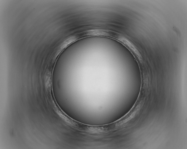 X0000112111049200908181343