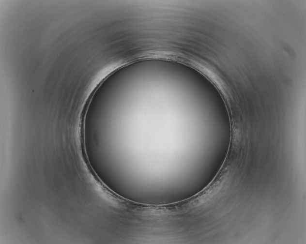 X0000112111050200908181343