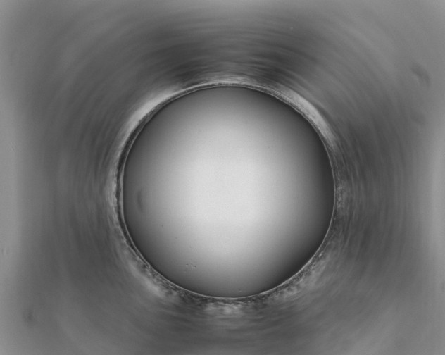 X0000112111051200908181343