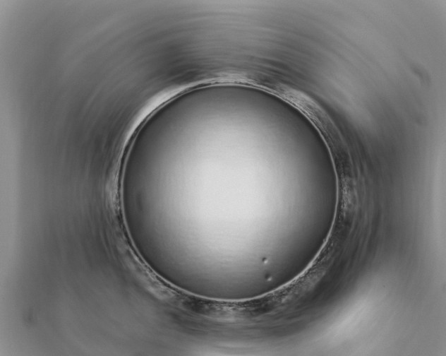 X0000112111052200908181343