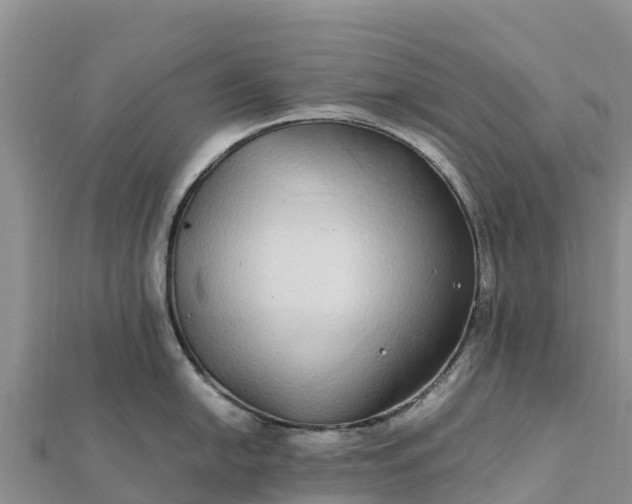 X0000112111054200908181343