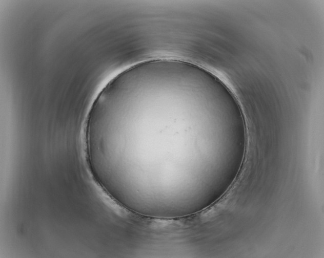 X0000112111056200908181343