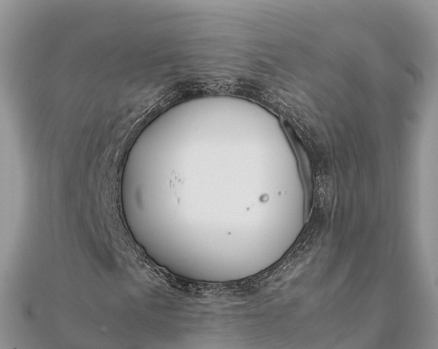 X0000112111057200908181342