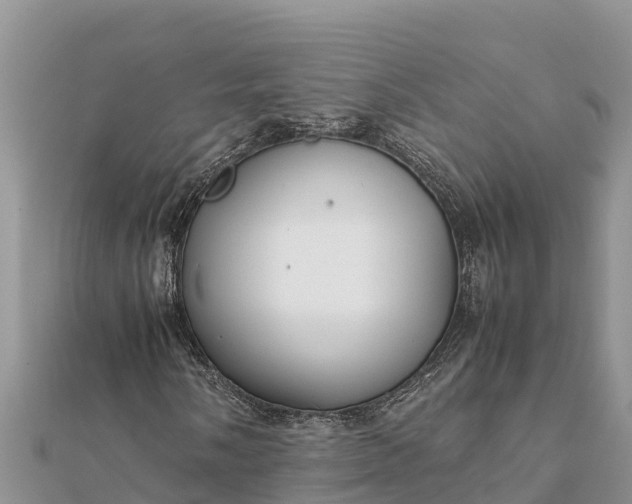 X0000112111058200908181342