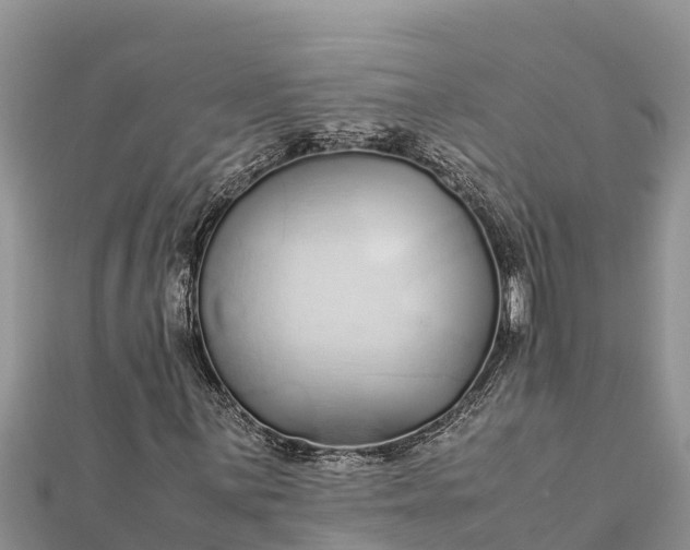 X0000112111059200908181342